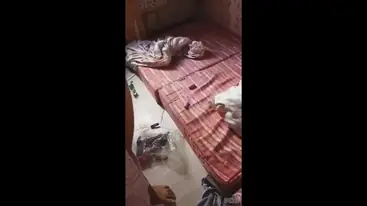 Main Ke Kamar Pacar Malah Ngentot Panas Amatir poster