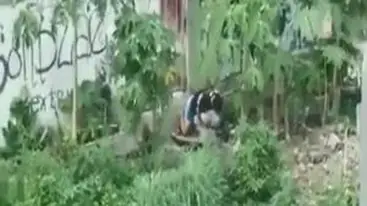 Ngintip Jilbab Lagi Ngewe Di Belakang Sekolah Ketahuan poster